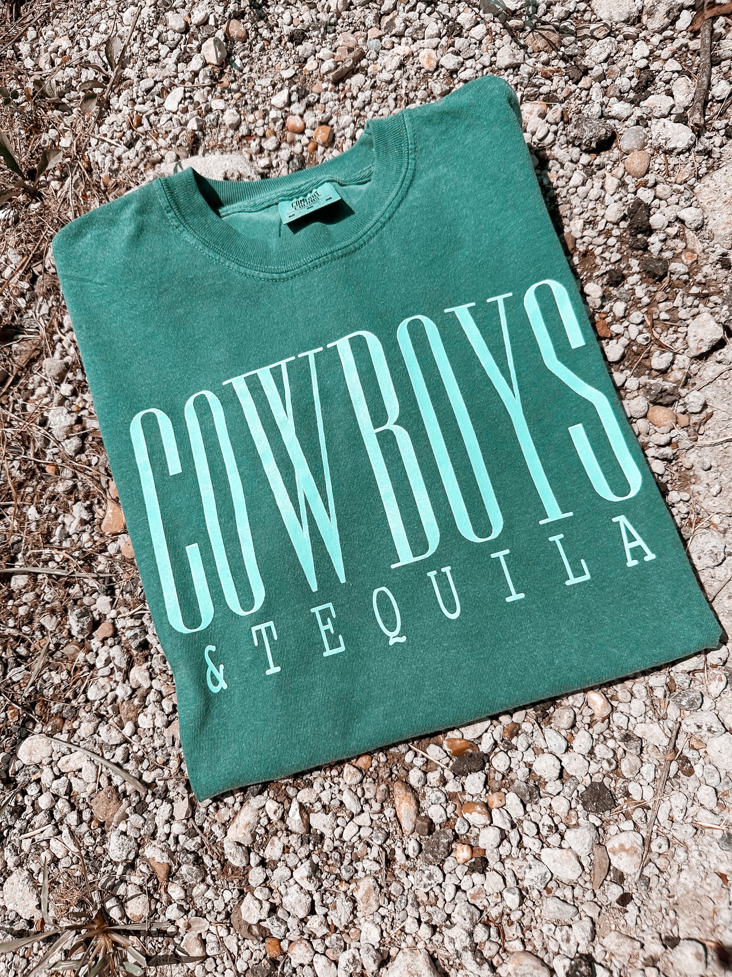 C & T COMFORT COLOR TEE
